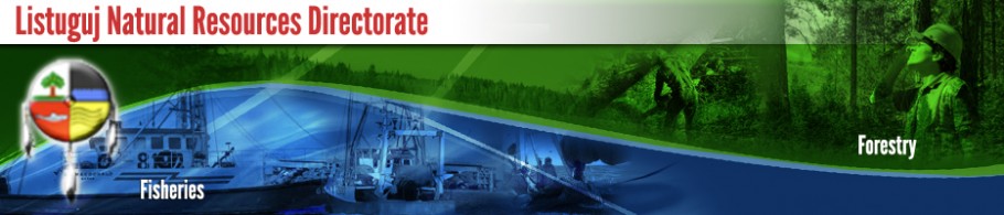 NRBanners